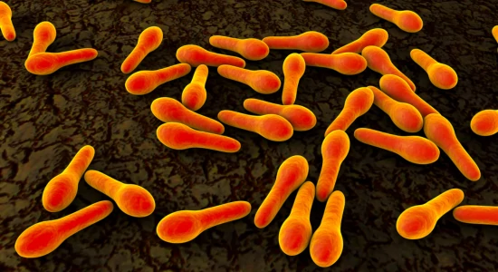 Beszéljünk a botulizmusról! 