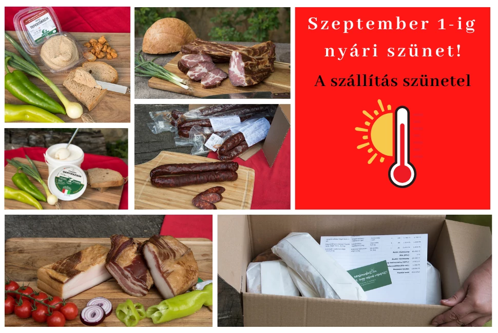 Nyári szünet